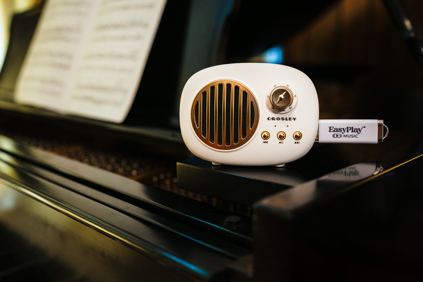 NEW! EasyPlay Speaker Powered by Crosley